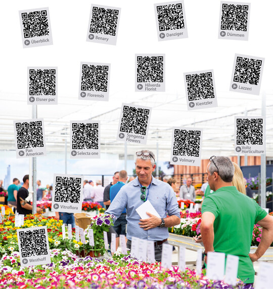 Einen virtuellen nachtrglichen Besuch auf den FlowerTrials" knnen Sie ber die Videos der Zchtungs- und Jungpflanzenunternehmen machen!