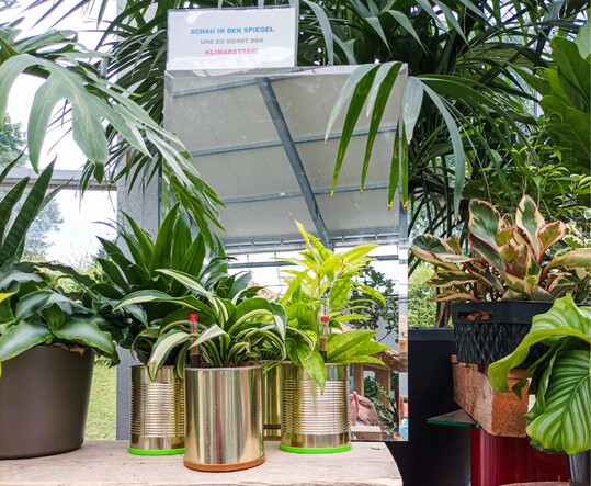 Vorschlge zum Upcycling" auf der BUGA 2021 in Erfurt