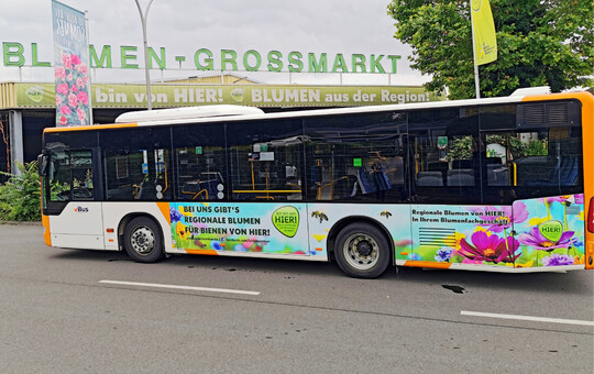 Auf Initiative des Blumengromarktes Mannheim: Endverbraucherwerbung fr die Produkte des deutschen Gartenbaus
