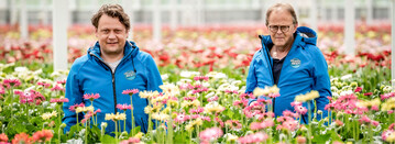 Rino und Jan Mans von Topline Gerbera in Tuil/NL wollen knftig ganz auf LED-Belichtung setzen.