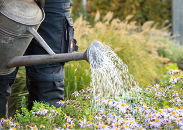 Wie werden die Betriebsformen des Gartenbaus in Zukunft aussehen? Weder Grtnerromantik noch Massenproduktion werden fr sich allein Antworten liefern knnen.