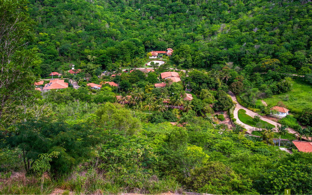 Fazenda Bulcao: Wo einst Rinder grasten wächst heute wieder ein Wald.