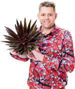 In der Kategorie Kübelpflanzen" ging die Auszeichnung an die Mangave Mad about Mangave Blazing Saddles von Gootjes-AllPlant aus den Niederlanden. Diese Pflanze ist wärmetolerant, verträgt intensive Sonneneinstrahlung und benötigt kaum Wasser. Im Bild: Tieme van den Haak.