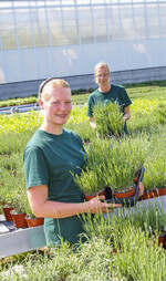 Beim Anbau von Topfkräutern sind torfreduzierte Substrate besonders gefragt.