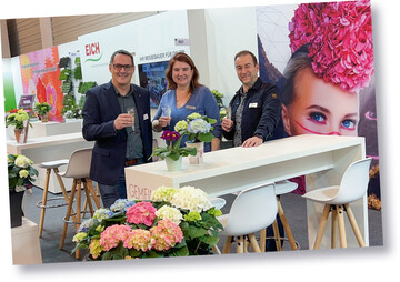 Seit 20 Jahren ein Team auf der IPM: Andreas Pellens von Pellens Hortensien, Sibylle Eich von Eich Jungpflanzen und Matthias Rohde von Begonien Rieger (von links)