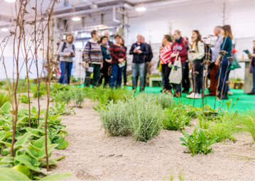 Beete mit trockenheitsvertrglichen Gehlzen und Stauden stieen auf der IPM Essen 2023 auf groes Interesse.