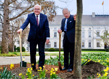 Am 29. Mrz 2023 pflanzten Knig Charles III. und Bundesprsident Frank-Walter Steinmeier die vom BdB gestiftete Manna-Esche im Park von Schloss Bellevue.
