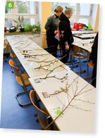 6) Station für die Gehölzbestimmung.