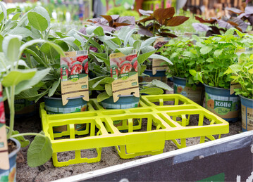 Erfolgreich war bei Pflanzen-Klle die Ausweitung des Transportsystems bei Mehrweg-Trays, an dem sich auch die Bio-Lieferanten beteiligen.