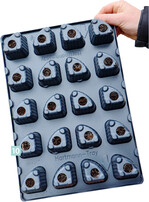 Die einzelnen Pflanzen für das CrazziCube-System werden in diesen Hartmann-Trays vorkultiviert.