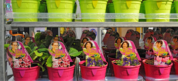 Ein riesiges Umweltproblem auch fr den Gartenbau: Einwegprodukte aus Kunststoff