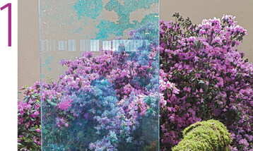 1) Aze liebt Lea! Die erste Hallenschau machte den Weg der Azalee aus ihren Herkunftslndern Japan und China nach Europa erlebbar. Ausgehend von Asien gelangt die Azalee, die zur Gattung Rhododendron gehrt, zunchst 1808 nach England, nur wenige Jahre spter nach Frankreich und Belgien. Zu den BUGA-Ausstellern gehrten die traditionsreiche schsische Firma T.J. Rud. Seidel Rhododendronkulturen, Bruns aus Bad Zwischenahn, die Soltauer Baumschulen Nielsen und Baumschule Enno Hinrichs aus Wiesmoor sowie Heublein Gartenbau aus Kassel, auerdem die Baumschule und Grtnerei Mller Lebensraum aus Mauer. Das gestalterische Konzept der Hallenschau lag in Hnden von Marco Seidl mit seinem Unternehmen Japantrume aus Wllstadt.