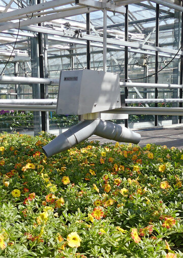 Abb. 1: Kompaktes, flexibel einsetzbares 360°-Luftreizmodul im Einsatz bei Calibrachoa (LVG Heidelberg 2022) …
