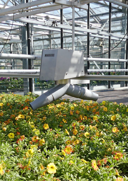 Abb. 1: Kompaktes, flexibel einsetzbares 360°-Luftreizmodul im Einsatz bei Calibrachoa (LVG Heidelberg 2022) …