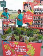 Konzept Schlaue Faulenzer". Genießen statt gießen: Langsam wachsende und pflegeleichte Pflanzen.