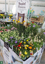 Konzept Bastelblumen": Nach dem Blütenmeer im Garten trocknen, basteln, dekorieren oder verschenken!