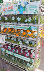 Konzept Pet Love": Futterpflanzen für Katzen, Nager, Vögel und Co.