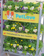 Konzept Nachtschwärmer": Insektennahrung 2.0 mit duftenden Futterpflanzen für Nachtaktive.