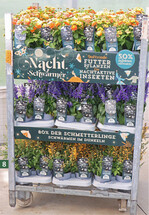 Konzept Volle Kanne Wasser sparen": Ein Thema, das in den nächsten Jahren immer wichtiger werden dürfte.