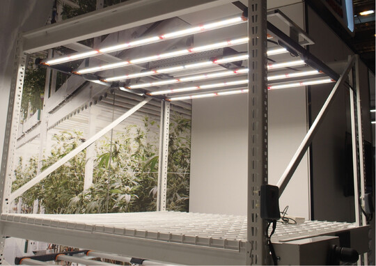 Fr das Pflanzenwachstum optimales LED-Licht ist nicht automatisch auch gnstig fr Ntzlinge.
