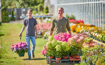 Auf dem Weg in die Zukunft als Gartenprofi: Mit professionellem Bildmaterial und einladenden Texten rhrt das Grne Medienhaus regelmig die Trommel fr eine Ausbildung im Gartenbau!