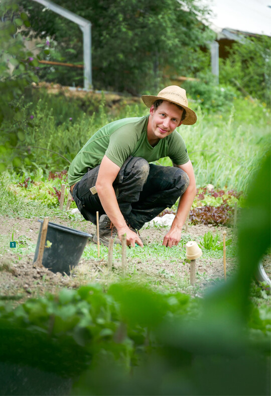 Woher kommen künftig Saisonarbeitskräfte? DEGA GARTENBAU Fachmagazin