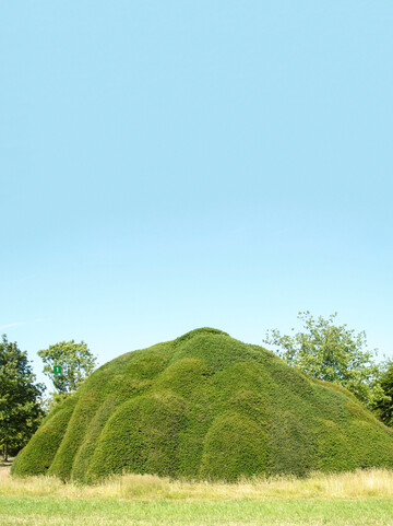 Beeindruckend ist diese Taxus-Wolke.