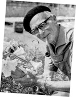 Willy Müller war mit Kreuzungen verschiedener Yucca-Arten erfolgreich.