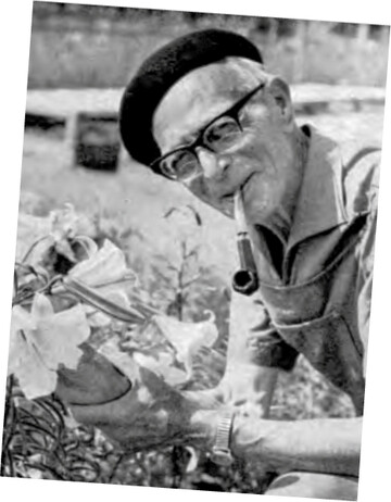 Willy Mller war mit Kreuzungen verschiedener Yucca-Arten erfolgreich.