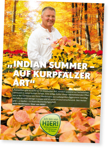 Mit Indian-Summer-Sternen setzt Horst Weidemann neue Impulse fr den Verkauf von Poinsettien.