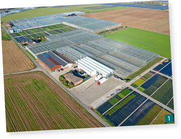 Der Betrieb in Geldern-Walbeck von Stefan Andree mit 1,6 ha Glas- und 3,4 ha Freilandflche