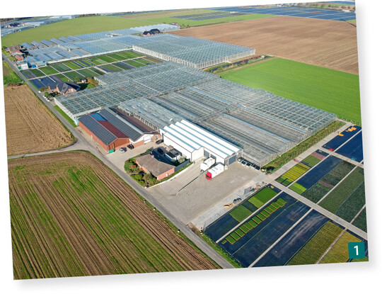 Der Betrieb in Geldern-Walbeck von Stefan Andree mit 1,6 ha Glas- und 3,4 ha Freilandfläche