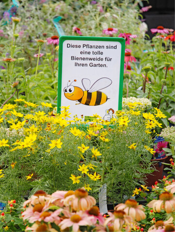 Mit einemwertvollenZusatznutzen punktenbienenfreundlicheBeet- und Balkonpflanzen.