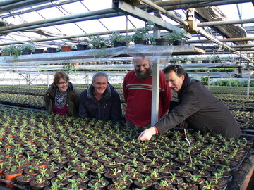 Katharina Neumann (Landesgartenschau Gieen 2014 GmbH), Gnther Wilde (Landesbetrieb Landwirtschaft Hessen), Brkhard Hfler (Gartenbauunternehmer Friedberg), Thomas Sdler (Hessischer Grtnereiverband) bei der Begutachtung der Pflanzen. (v.l.n.r.)