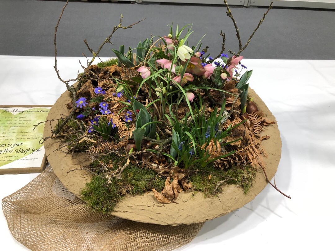 1. Platz Gefbepflanzung / 1st place potted planting: Lilli Kramer.