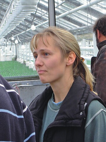 Grtnermeisterin Karina Bhler: „Gute Chrysanthemenqualitten waren problemlos abzusetzen“