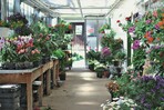 Auch betagte Gewächshäuser können zum Einkauf einladen