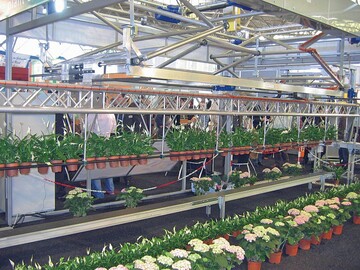Transport- und Bereitstellungssystem fr grere Pflanzenmengen (Visser)