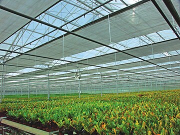 Blick in den 2006 errichteten und mit Plexiglas „Alltop SDP16“ gedeckten letzten Bauabschnitt von 16000 m2 Grundflche