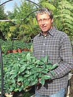 Klaus Umbach mit verkaufsfertigen Helleborus nach zwei Jahren Kulturzeit