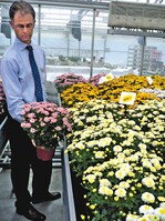 Zuchtleiter Henk Dresselhuis, Fides, mit den drei neuen „Gigi“-Multiflora-Sorten ‘Pink’, ‘Gold’ und ‘White’