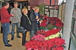Poinsettien zeigte die Staatsschule für Gartenbau Hohenheim