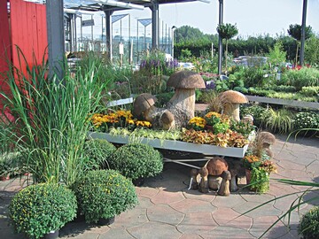 Herbstliche Pflanzen und Accessoires auf der Freiverkaufsflche