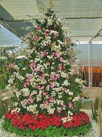 Dieser Weihnachtsbaum wurde vollständig mit in Thailand gewachsenen Orchideen gestaltet