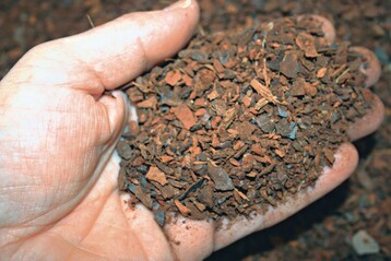 Um Strukturstabilitt und Luftkapazitt zu verbessern, mischt Lentse Potgrond Pinienrinde in die Substrate