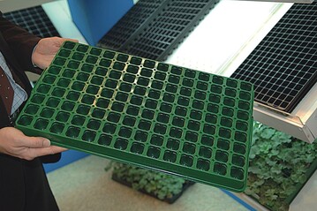 Die neue Kulturplatte mit 126 Lchern fr 2,5-cm-Papiertpfe ergnzt jetzt das Sortiment von Desch-Plantpak