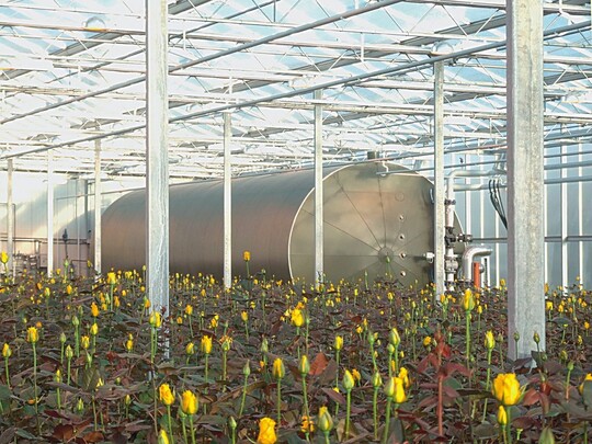 Speichertank fr warmes Wasser im Gewchshaus