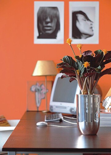 Wirkungsvoll: Calathea crocata im silbernen Gef
