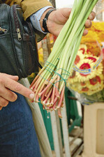 Verbesserungsbedarf bei den angelieferten Qualitäten: Die Gerbera-Stiele müssten angeschnitten sein