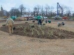 Die Firma Alpina GaLaBau aus Rostock bei den Pflanzarbeiten auf der „Schwimmenden Wiese“